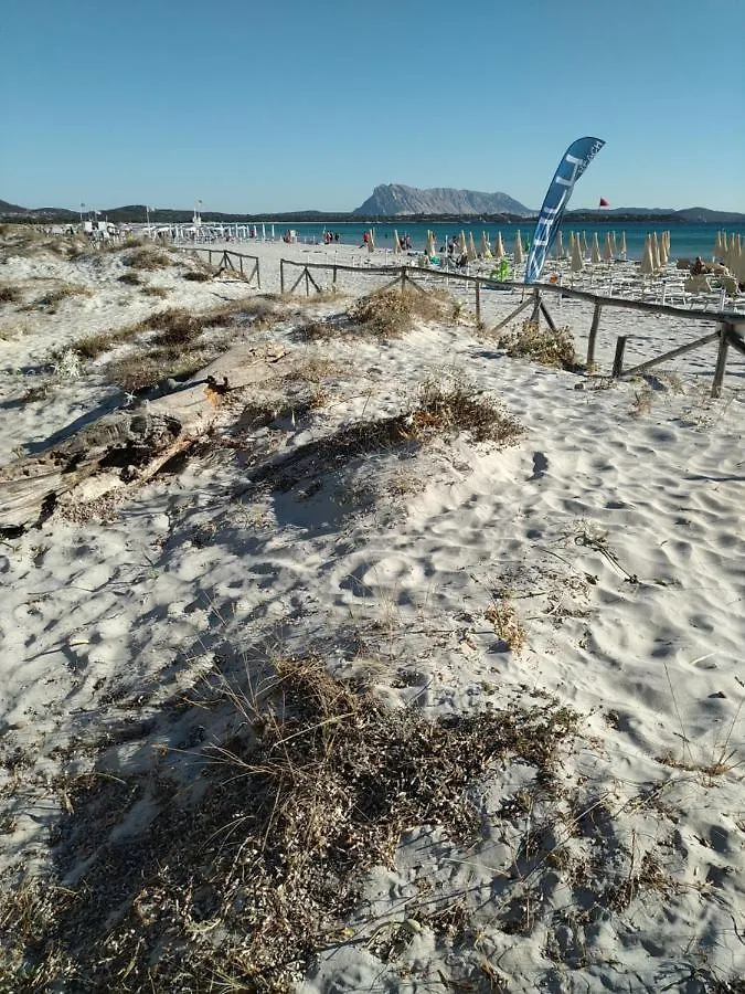 Villa Panamar San Teodoro  0*, San Teodoro (Sardinia) Italy